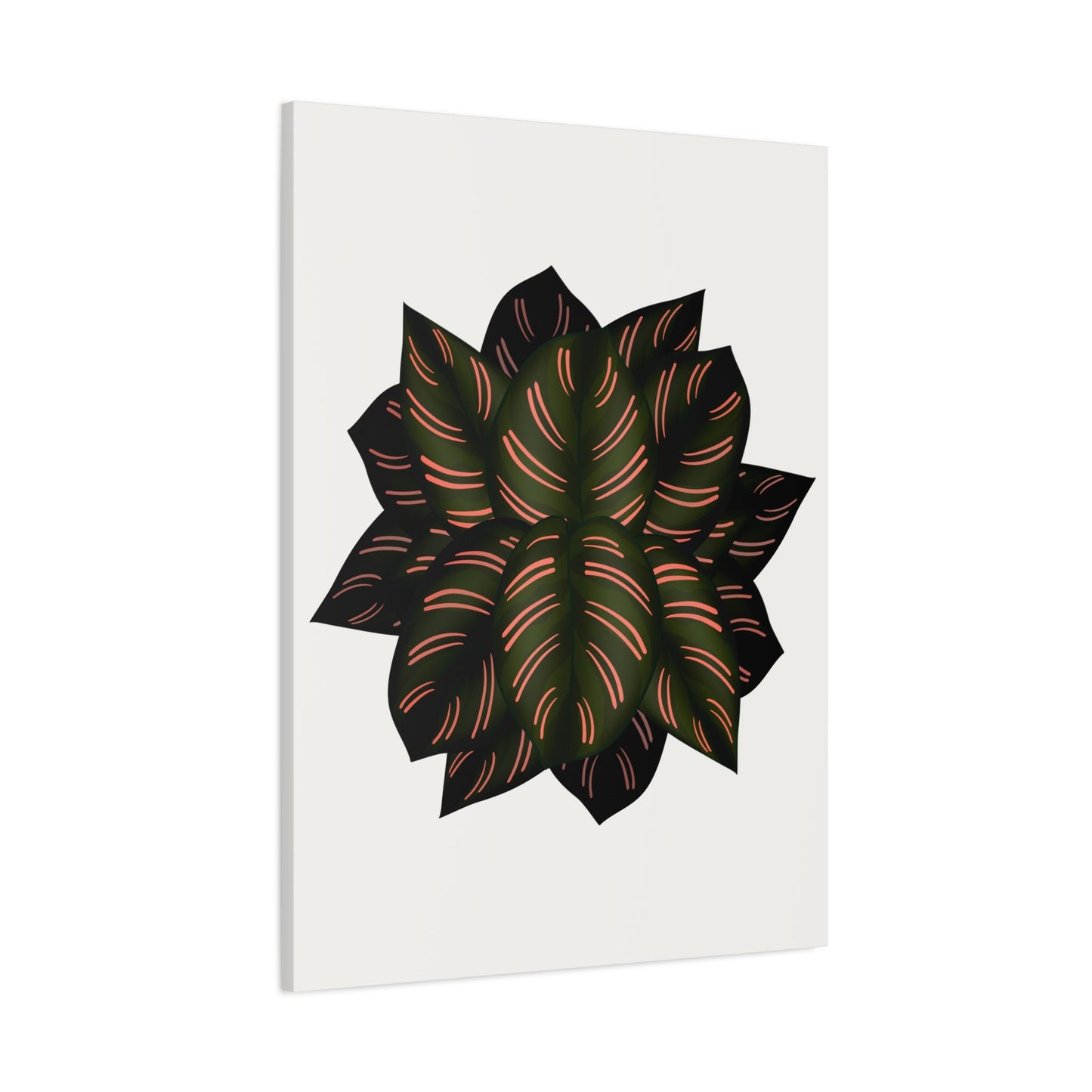 Calathea Pinstripe Canvas Print – Botanical Wall Art