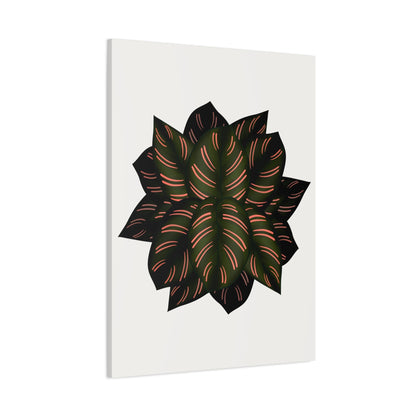 Calathea Pinstripe Canvas Print – Botanical Wall Art