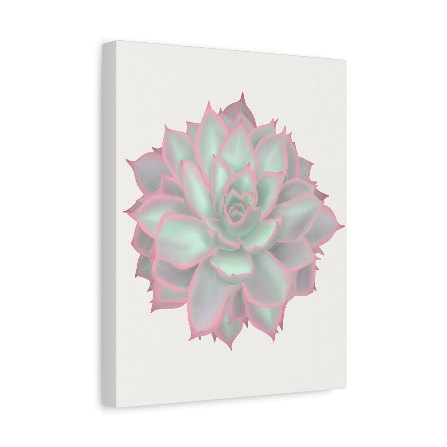 Echeveria Violet Queen Succulent Canvas Print – Botanical Wall Art