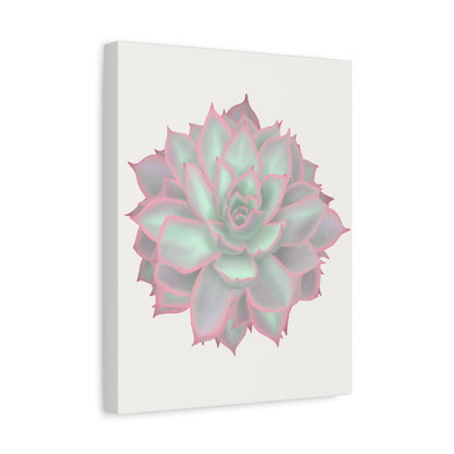 Echeveria Violet Queen Succulent Canvas Print – Botanical Wall Art