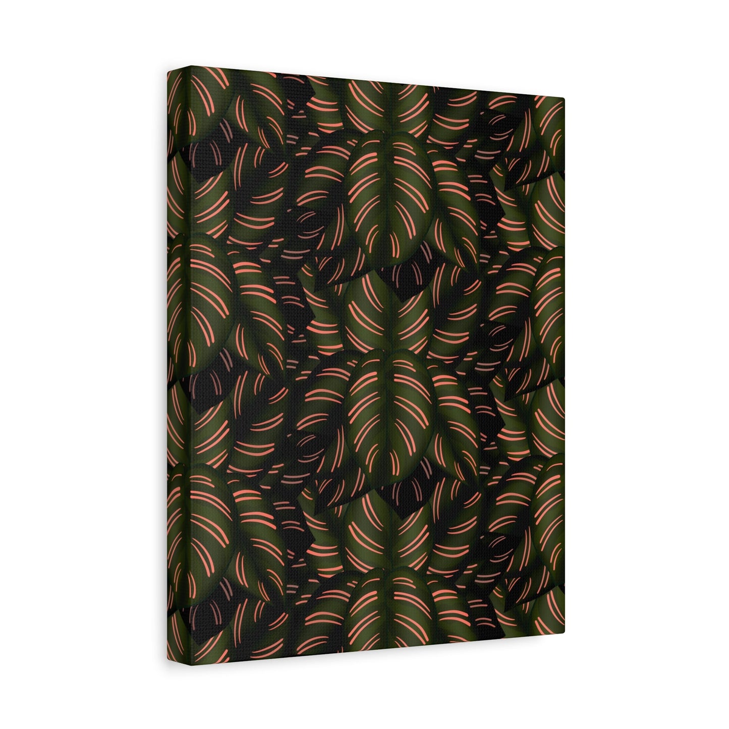 Calathea Pinstripe Pattern Canvas Print – Botanical Wall Art