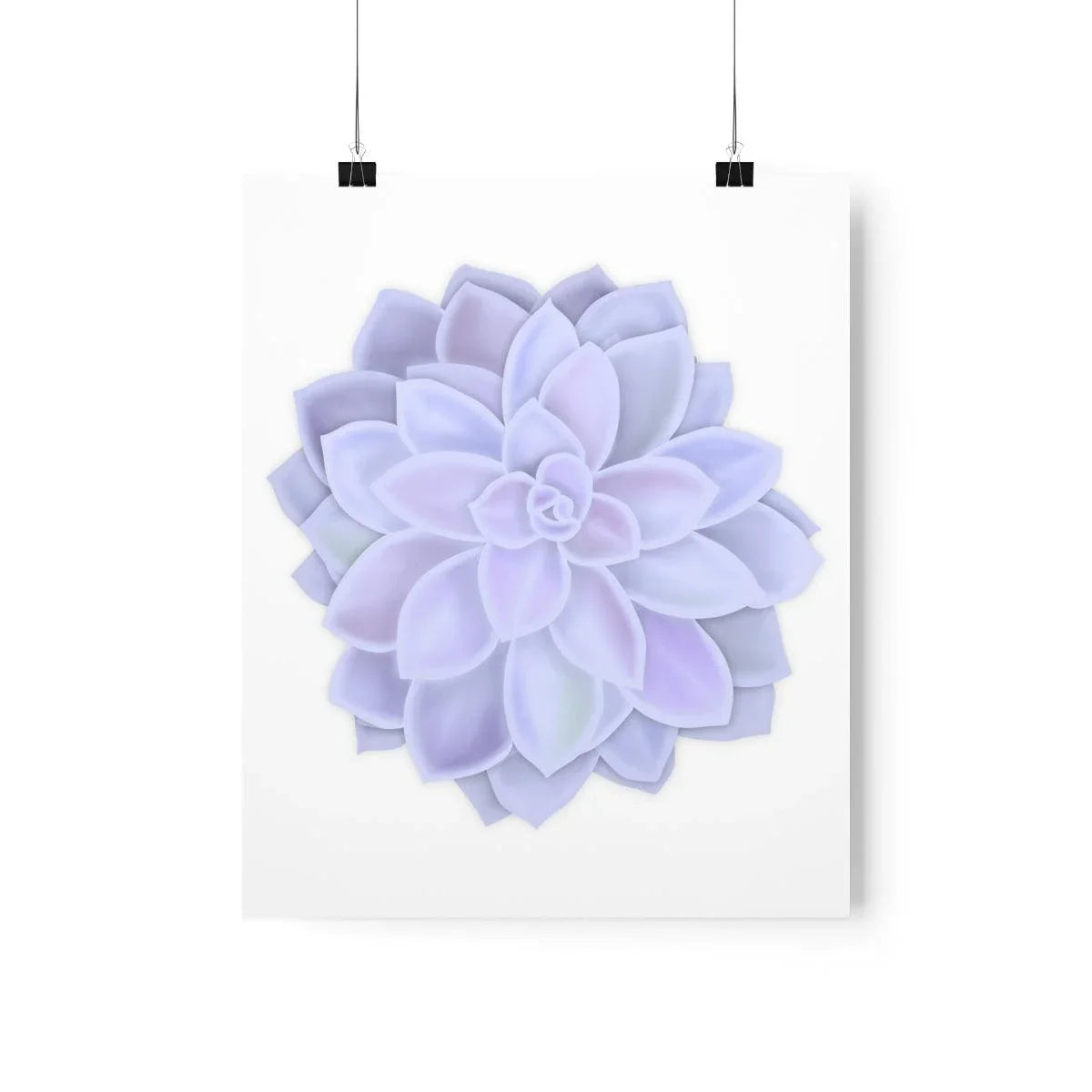 Graptopetalum Murasaki Succulent Botanical Print – Unframed Wall Art