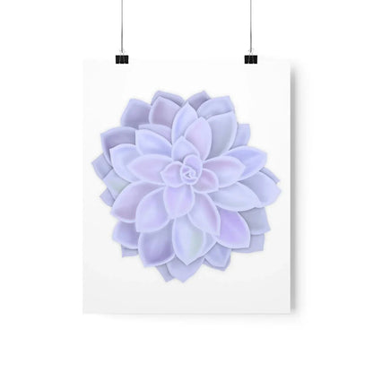 Graptopetalum Murasaki Succulent Botanical Print – Unframed Wall Art