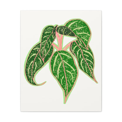 Aglaonema Sparkling Sarah Canvas Print – Botanical Wall Art