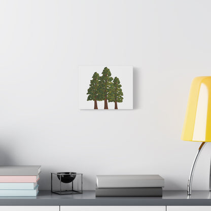 Coastal Redwood Canvas Print – Wall Art