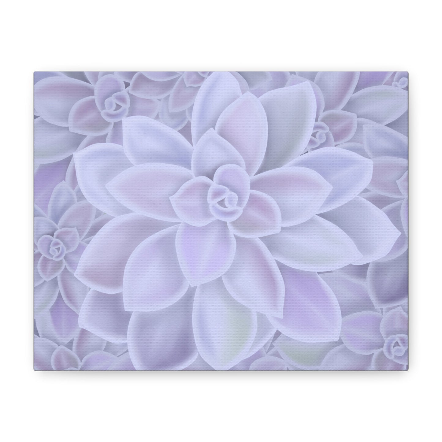 Graptopetalum Murasaki Succulent Pattern Canvas Print – Botanical Wall Art