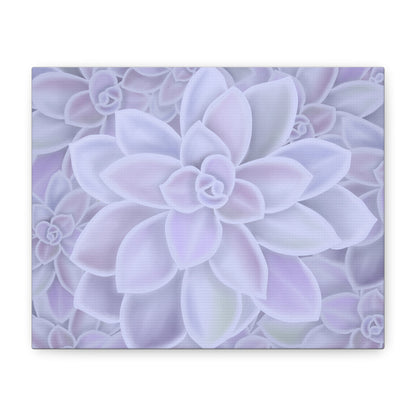 Graptopetalum Murasaki Succulent Pattern Canvas Print – Botanical Wall Art