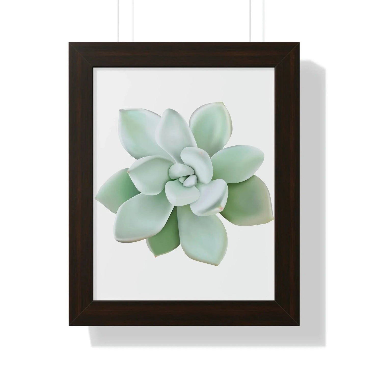 Pachyveria Haagei Succulent Framed Print – Botanical Wall Art
