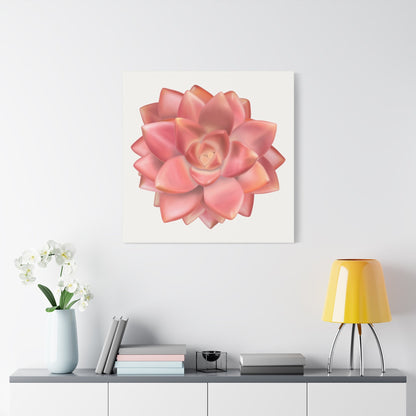 Graptosedum California Sunset Succulent Canvas Print – Botanical Wall Art