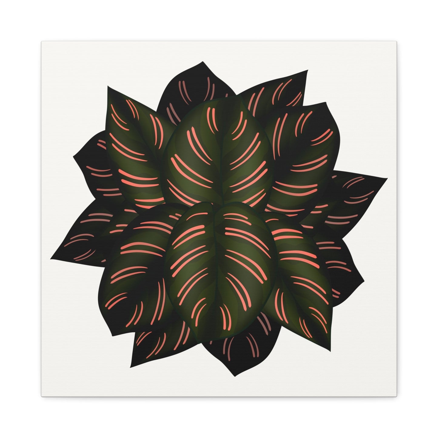 Calathea Pinstripe Canvas Print – Botanical Wall Art