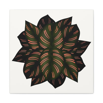 Calathea Pinstripe Canvas Print – Botanical Wall Art