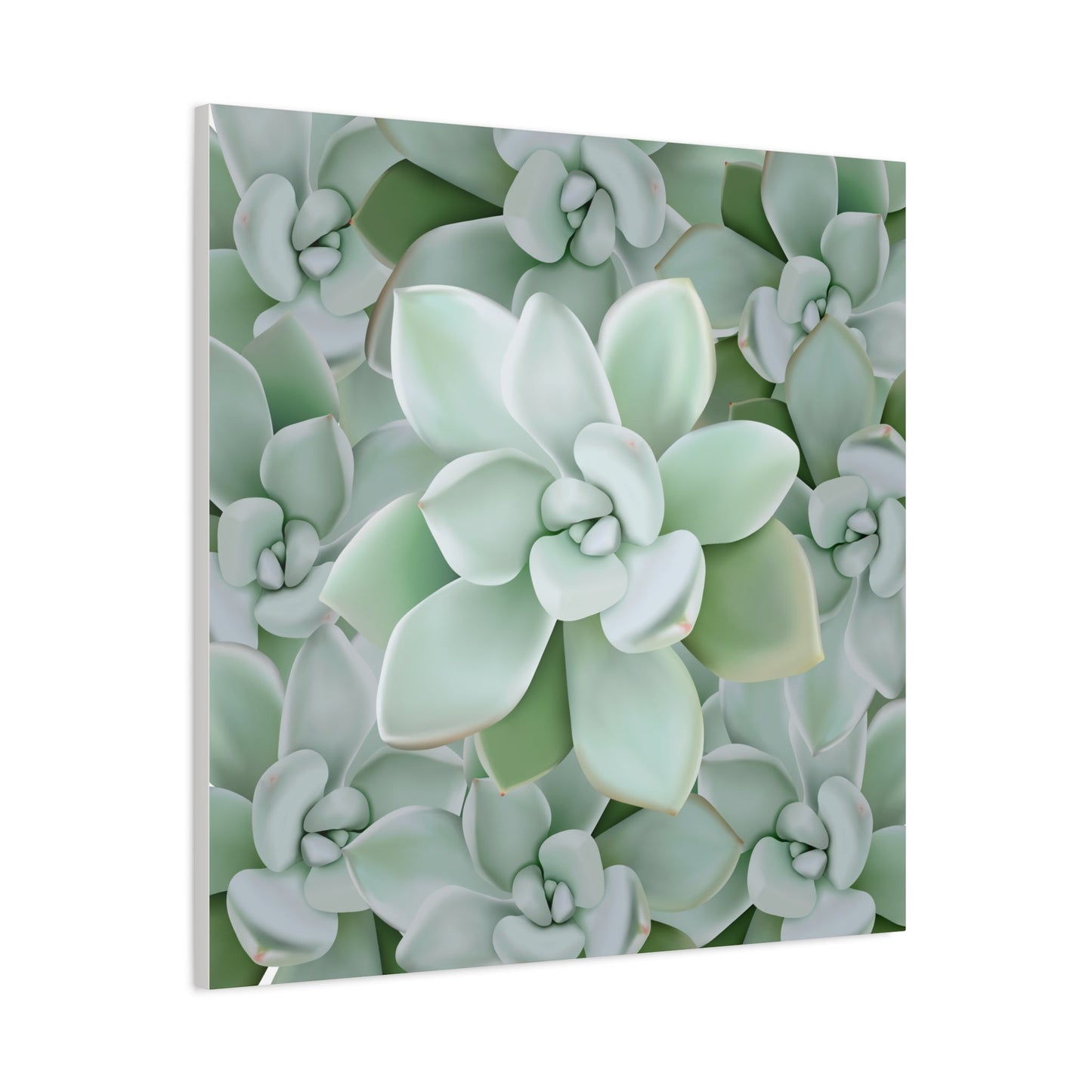 Pachyveria Haagei Succulent Pattern Canvas Print – Botanical Wall Art