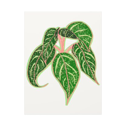 Aglaonema Sparkling Sarah Canvas Print – Botanical Wall Art