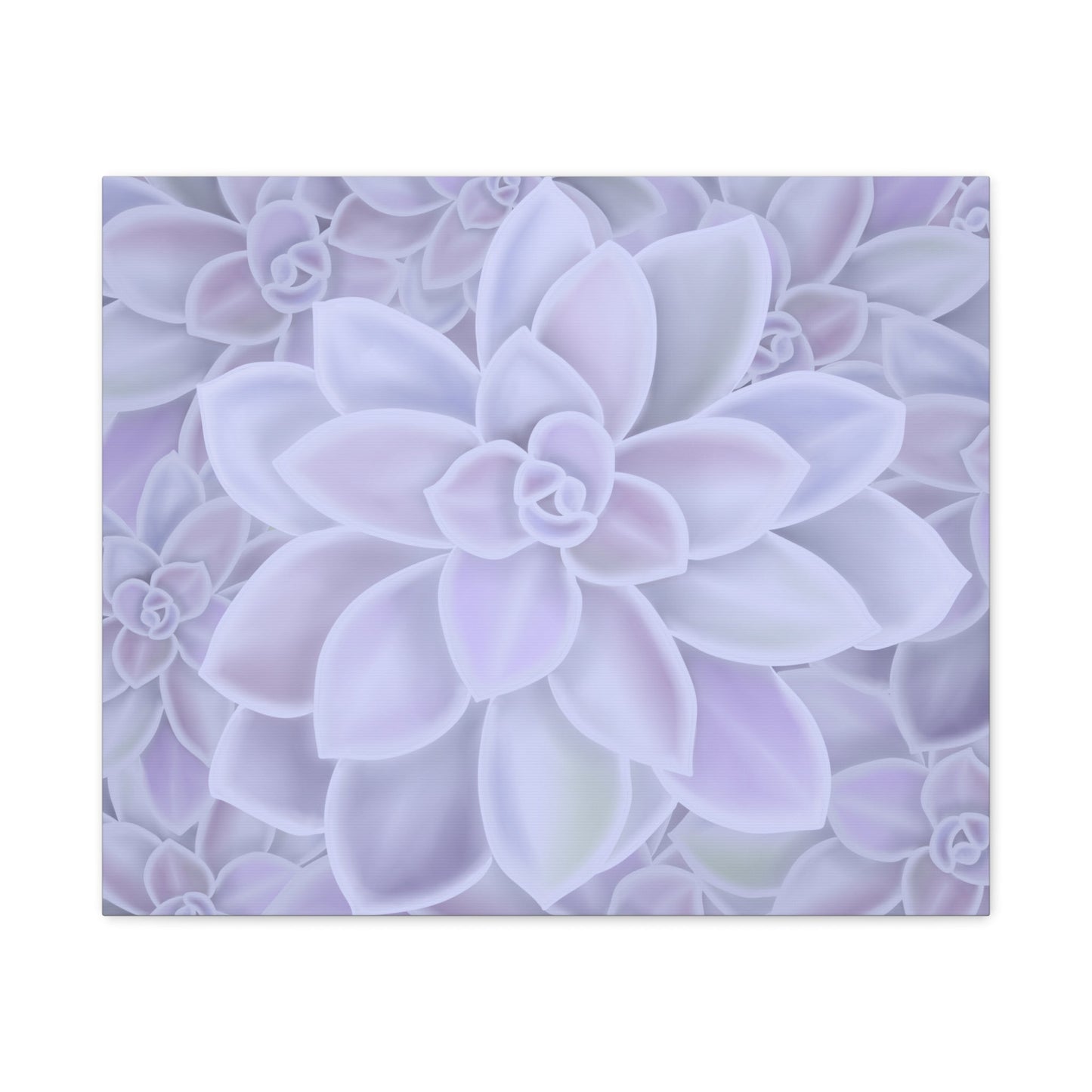 Graptopetalum Murasaki Succulent Pattern Canvas Print – Botanical Wall Art