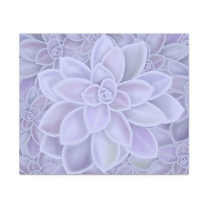 Graptopetalum Murasaki Succulent Pattern Canvas Print – Botanical Wall Art