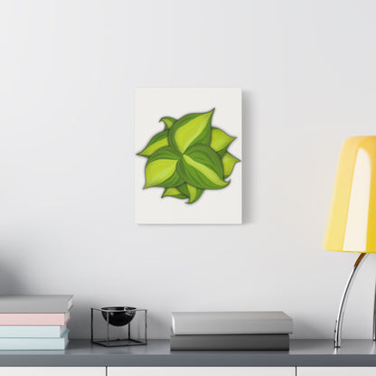 Philodendron Brasil Canvas Print – Botanical Wall Art
