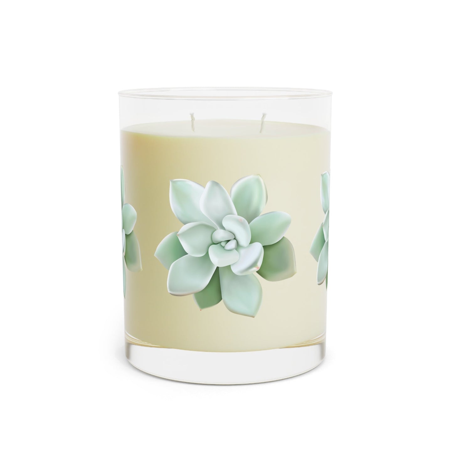Pachyveria Haagei Succulent Soy Candle 11 oz – Three Scent Options