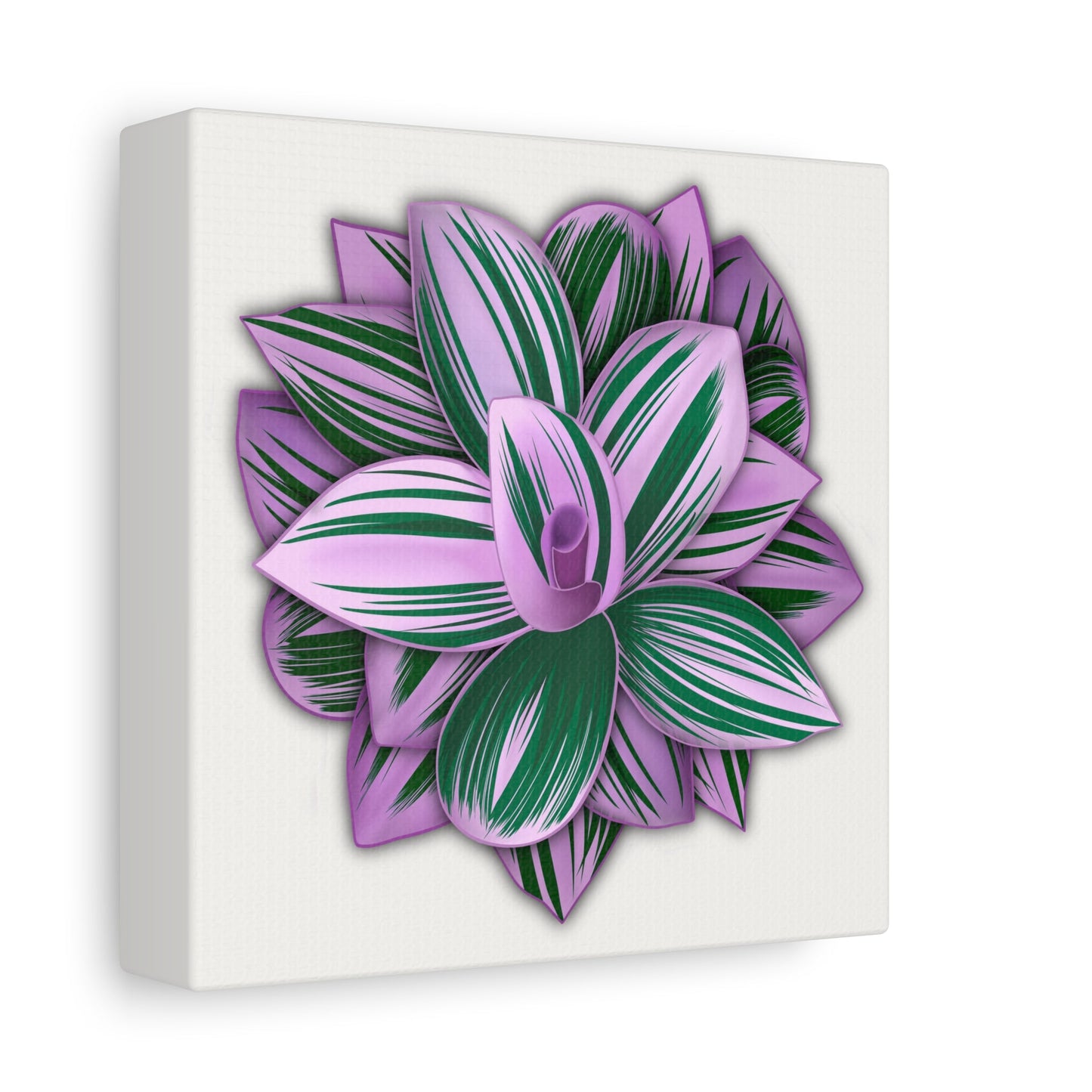 Tradescantia Nanouk Canvas Print – Botanical Wall Art