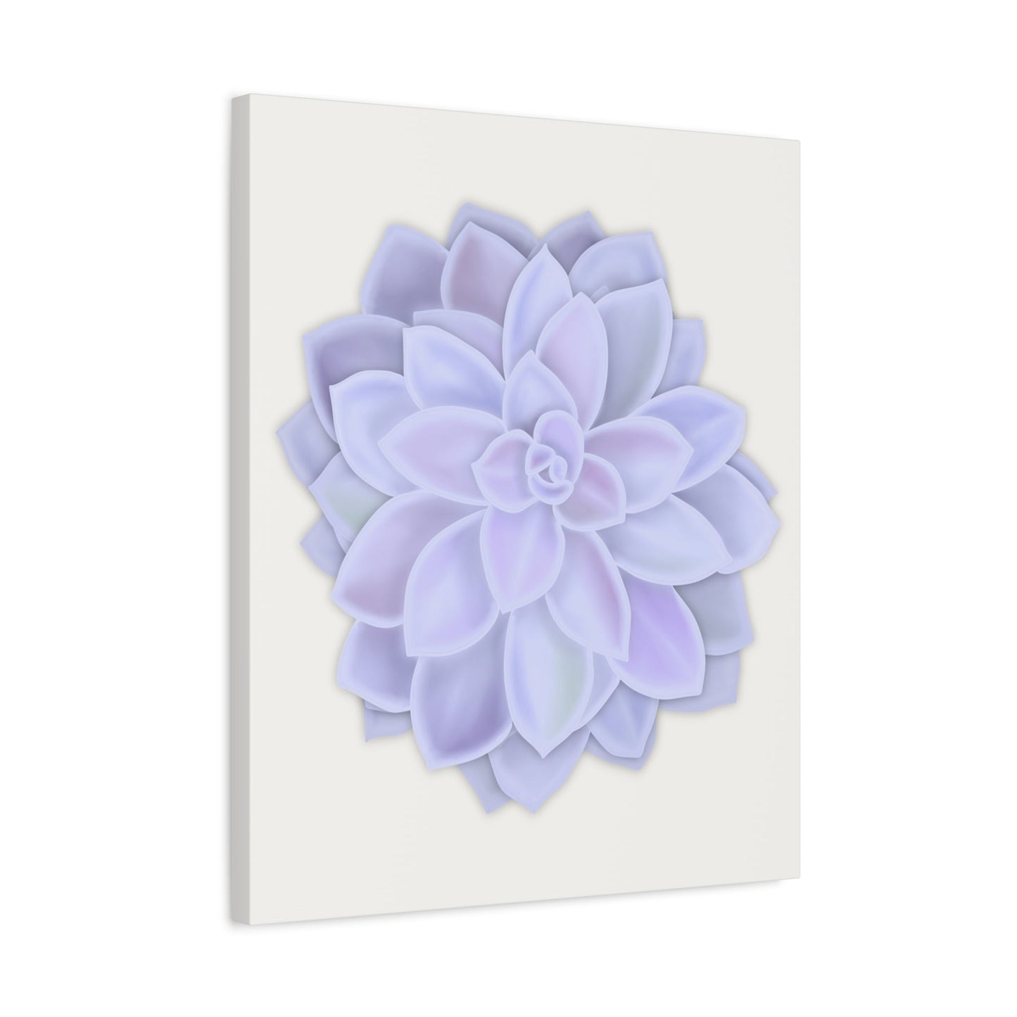 Graptopetalum Murasaki Succulent Canvas Print – Botanical Wall Art