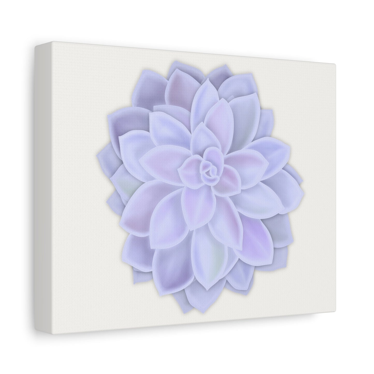 Graptopetalum Murasaki Succulent Canvas Print – Botanical Wall Art