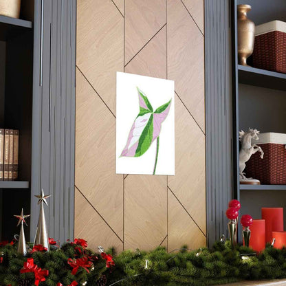 Syngonium Tricolor Botanical Print – Unframed Wall Art