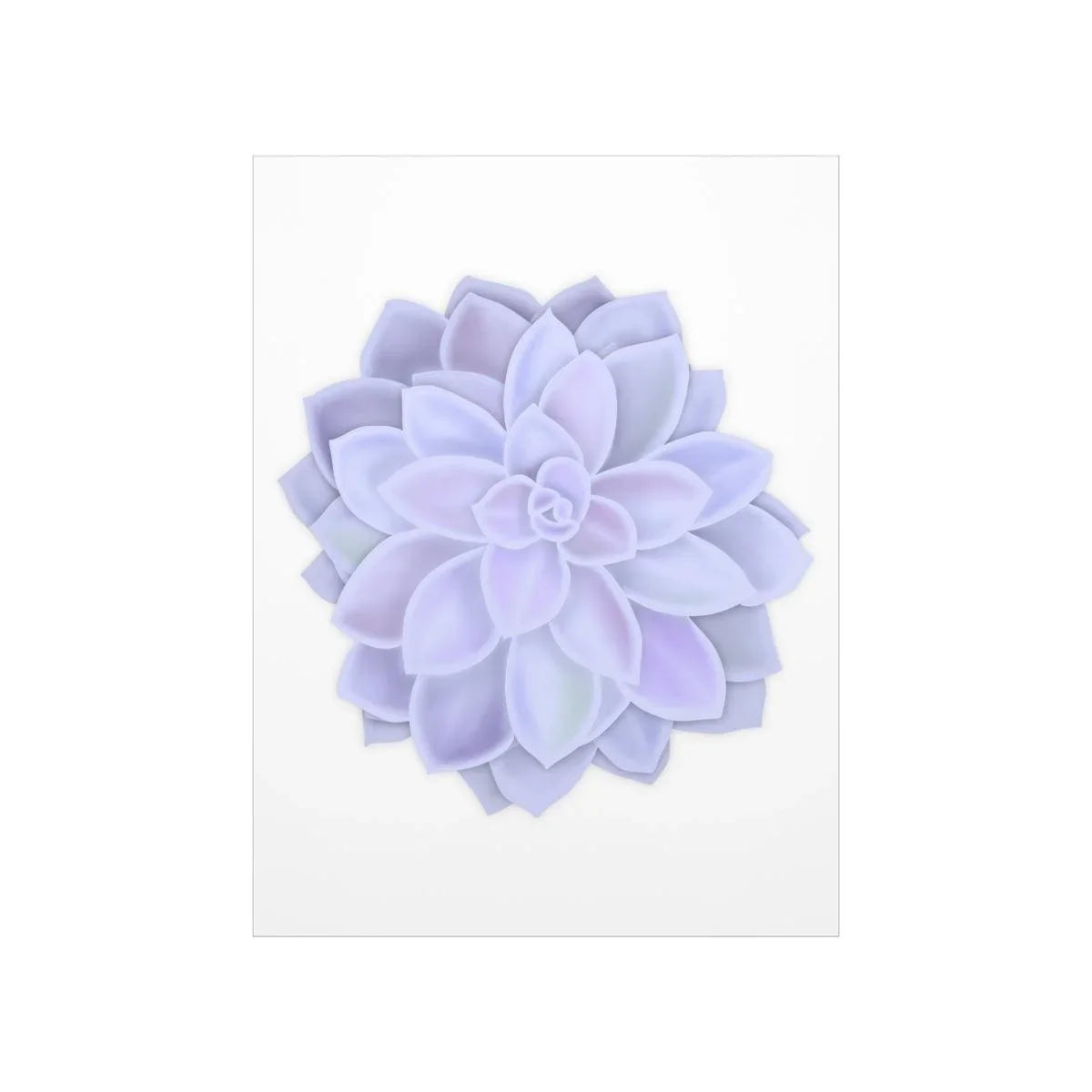 Graptopetalum Murasaki Succulent Botanical Print – Unframed Wall Art