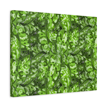 Aglaonema Pictum Canvas Print – Botanical Wall Art