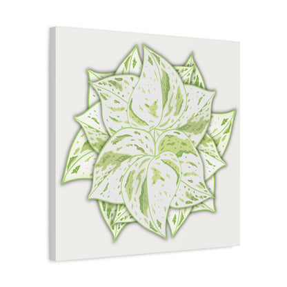 Snow Queen Pothos Canvas Print – Botanical Wall Art