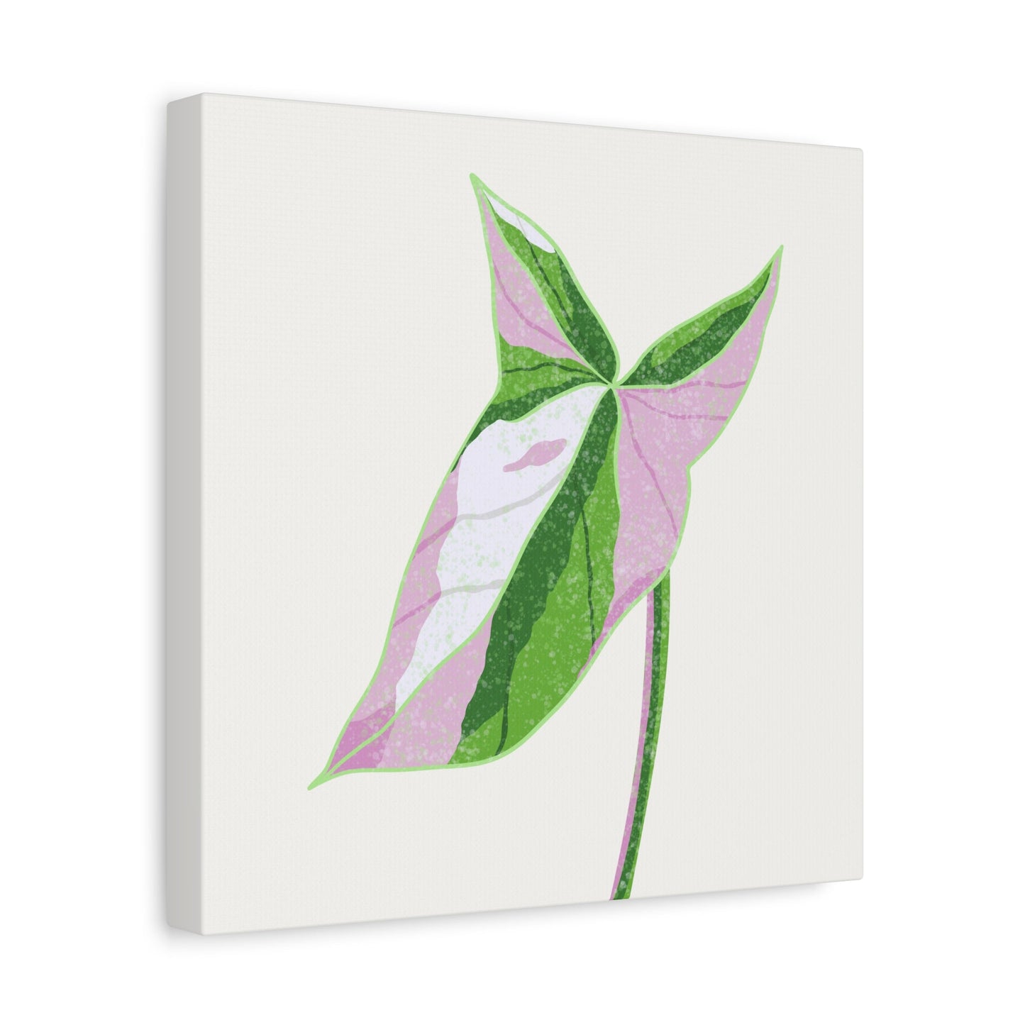 Syngonium Tricolor Canvas Print – Botanical Wall Art