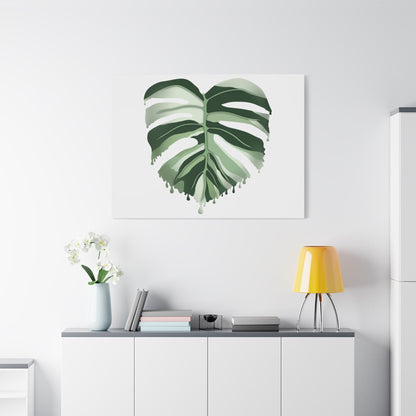 Melting Monstera Albo Canvas Print – Botanical Wall Art