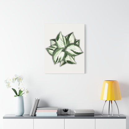 Manjula Pothos Canvas Print – Botanical Wall Art