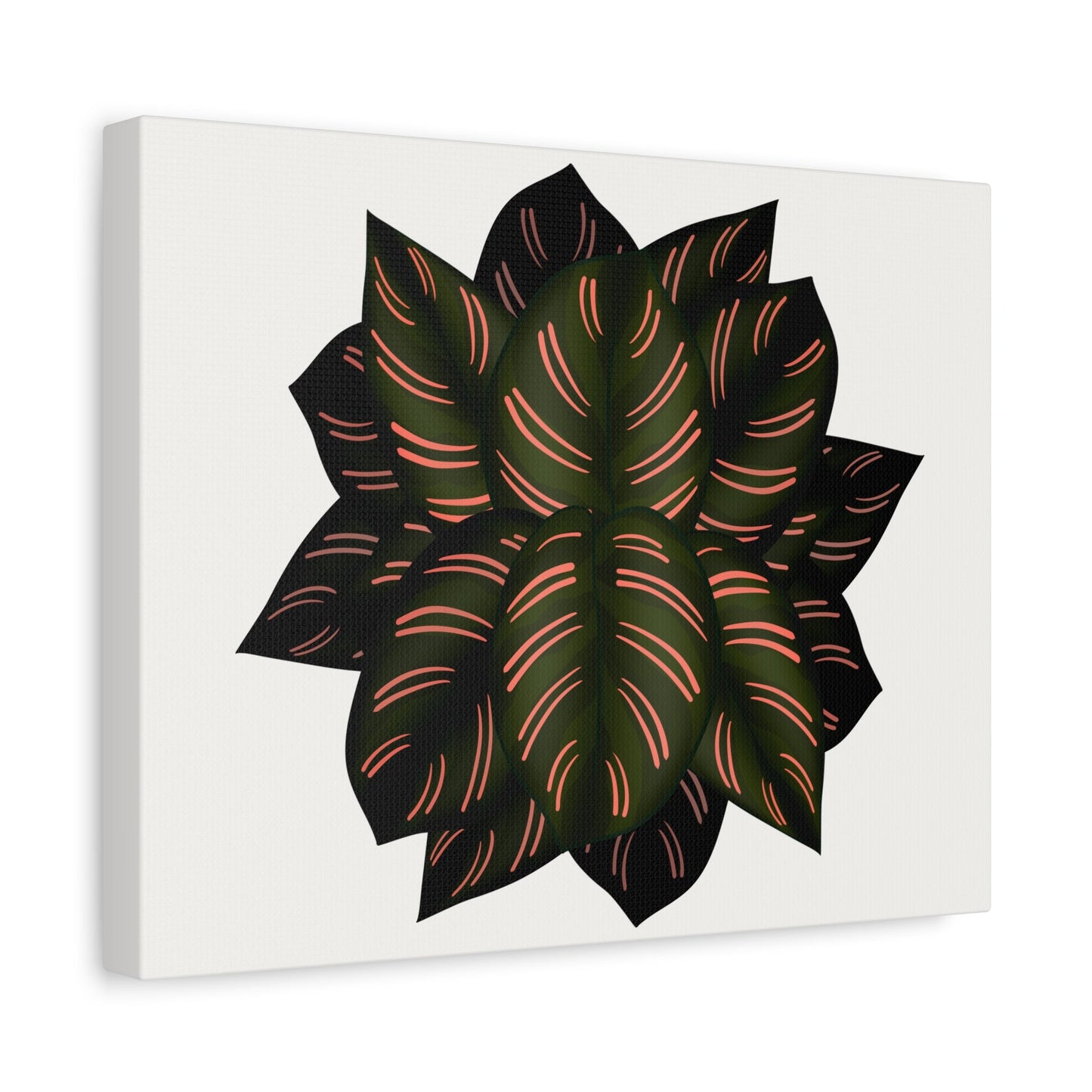 Calathea Pinstripe Canvas Print – Botanical Wall Art