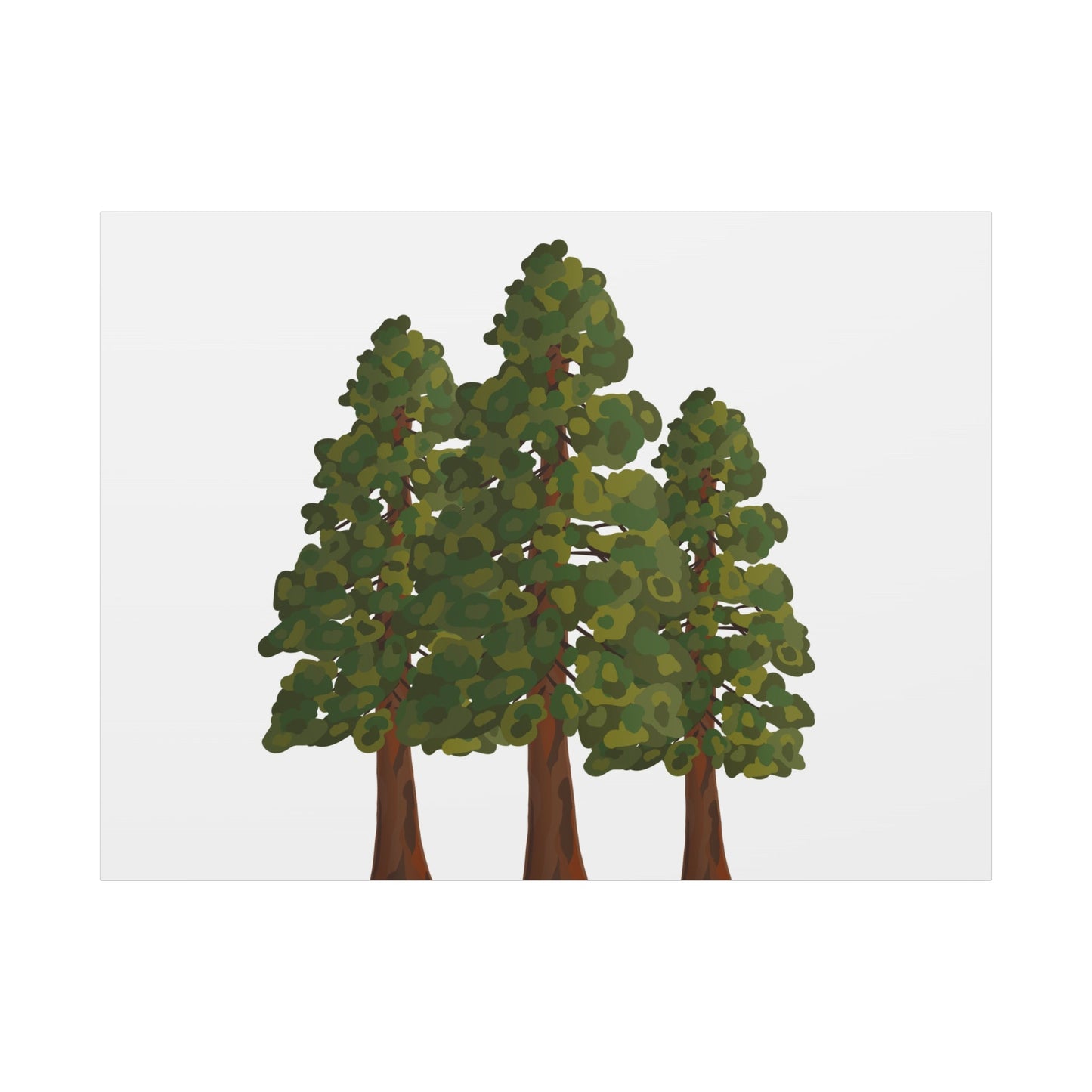 Coastal Redwood Canvas Print – Wall Art