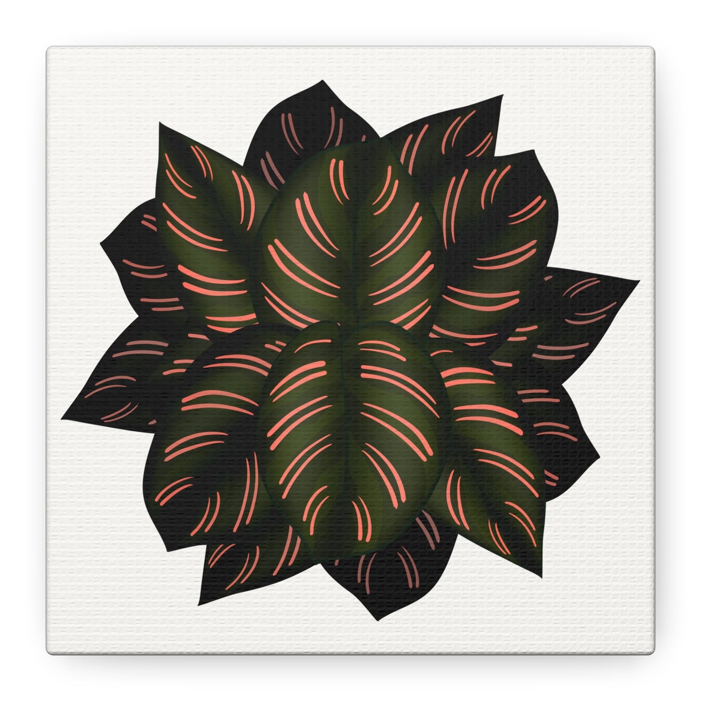 Calathea Pinstripe Canvas Print – Botanical Wall Art