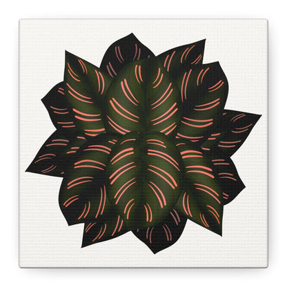 Calathea Pinstripe Canvas Print – Botanical Wall Art