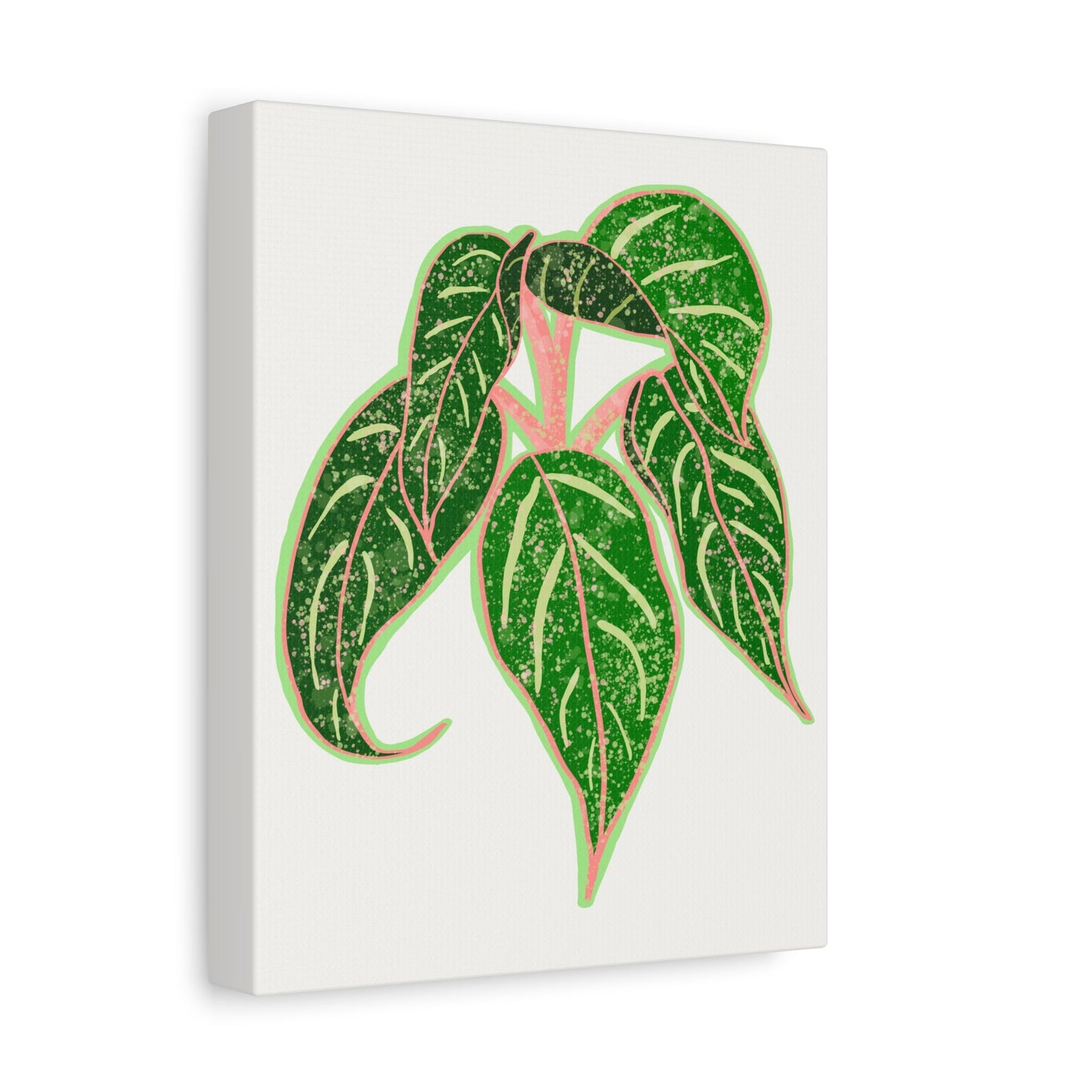 Aglaonema Sparkling Sarah Canvas Print – Botanical Wall Art