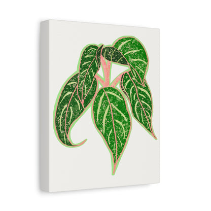 Aglaonema Sparkling Sarah Canvas Print – Botanical Wall Art
