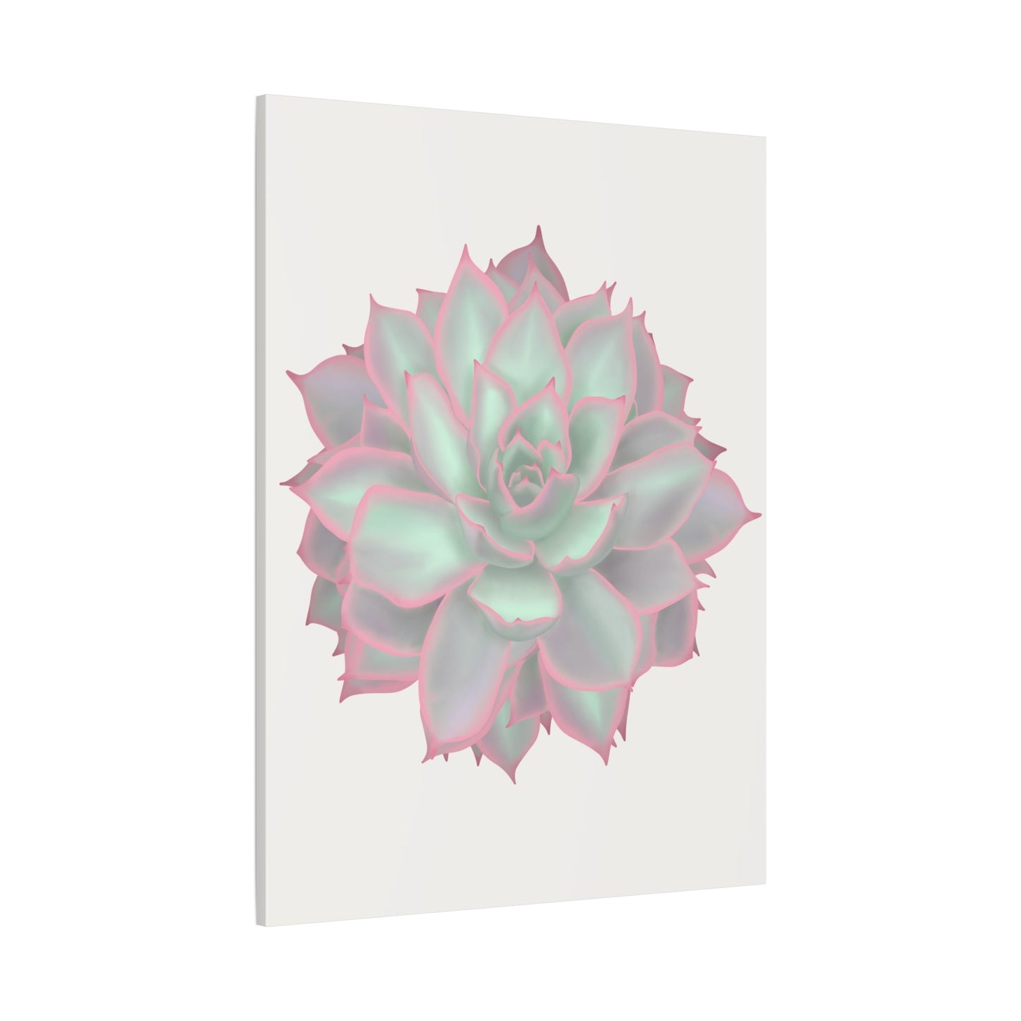 Echeveria Violet Queen Succulent Canvas Print – Botanical Wall Art