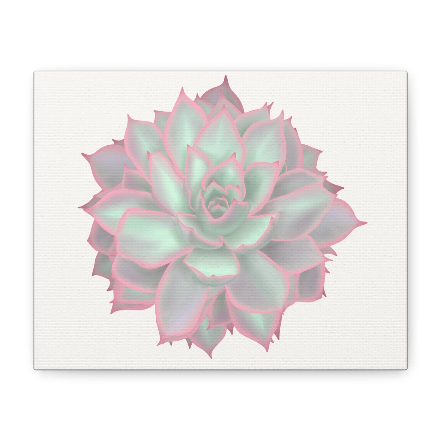Echeveria Violet Queen Succulent Canvas Print – Botanical Wall Art