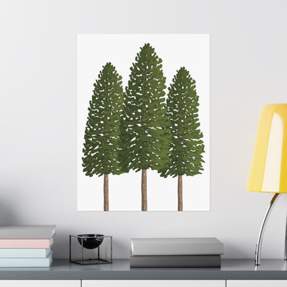Ponderosa Pine Print – Unframed Wall Art