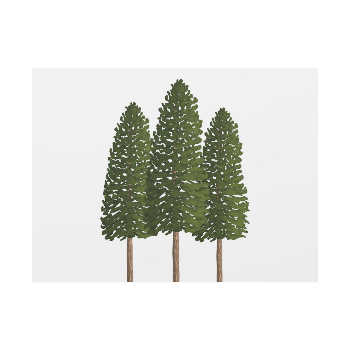 Ponderosa Pine Canvas Print – Wall Art