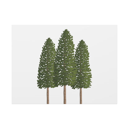 Ponderosa Pine Canvas Print – Wall Art