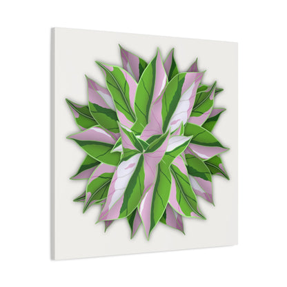 Syngonium Tricolor Pattern Canvas Print – Botanical Wall Art