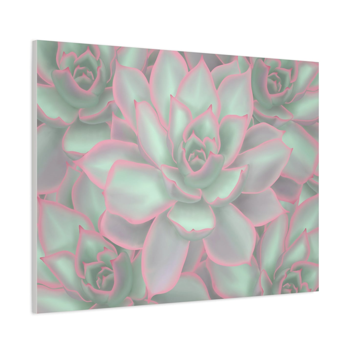 Echeveria Violet Queen Succulent Pattern Canvas Print – Botanical Wall Art