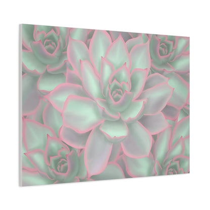 Echeveria Violet Queen Succulent Pattern Canvas Print – Botanical Wall Art