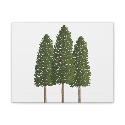 Ponderosa Pine Canvas Print – Wall Art