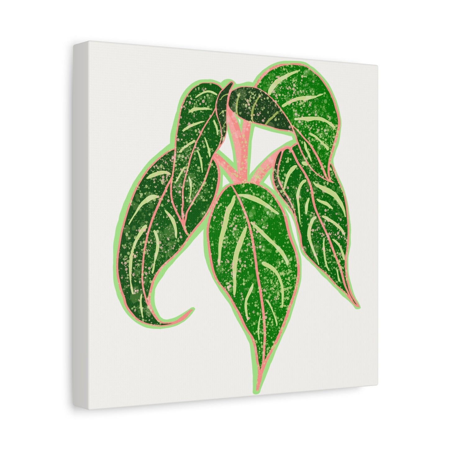 Aglaonema Sparkling Sarah Canvas Print – Botanical Wall Art