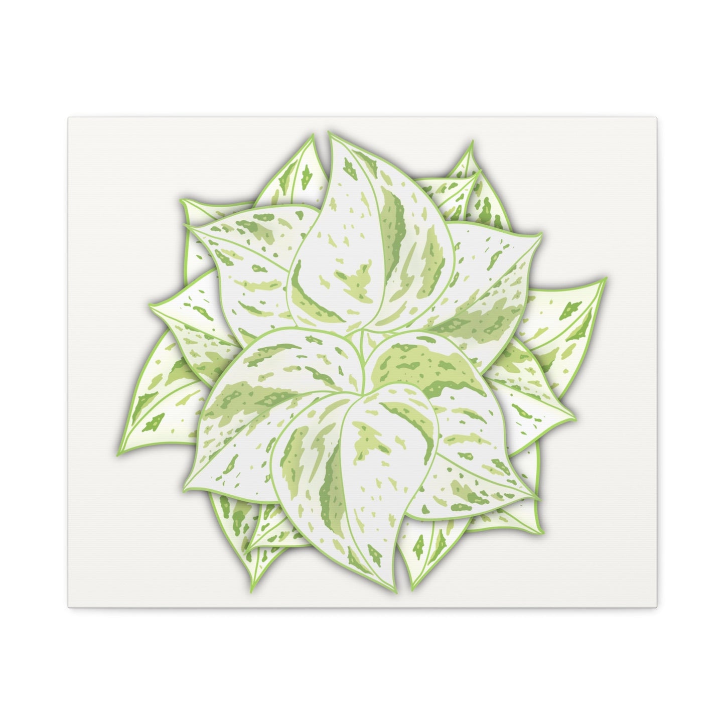 Snow Queen Pothos Canvas Print – Botanical Wall Art