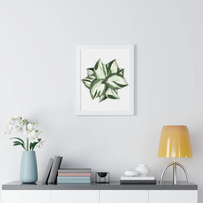 Manjula Pothos Framed Print – Botanical Wall Art