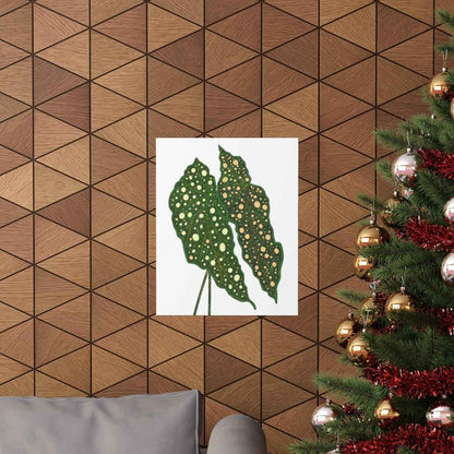 Begonia Maculata Botanical Print – Unframed Wall Art